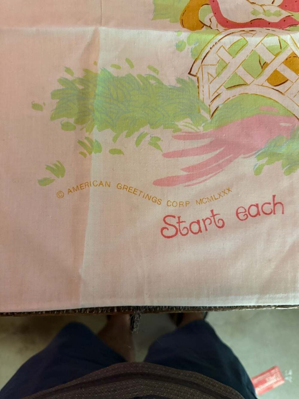 Vintage Strawberry Shortcake Pillow Case Set of 2 - Picture 2 of 7